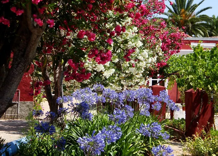 Semesterbostad Quinta Dos Reis