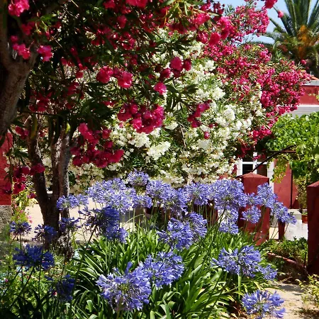 펜션 Quinta Dos Reis